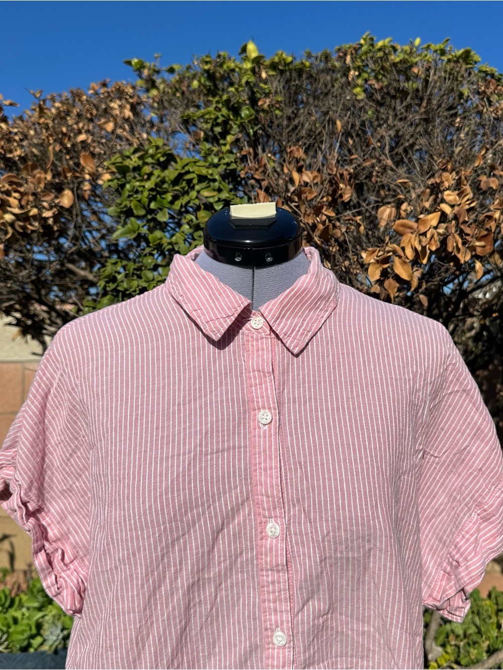 Women's Pink/Red Striped Short-Sleeve Button-Down Shirt Size Large - Picture 2 of 9